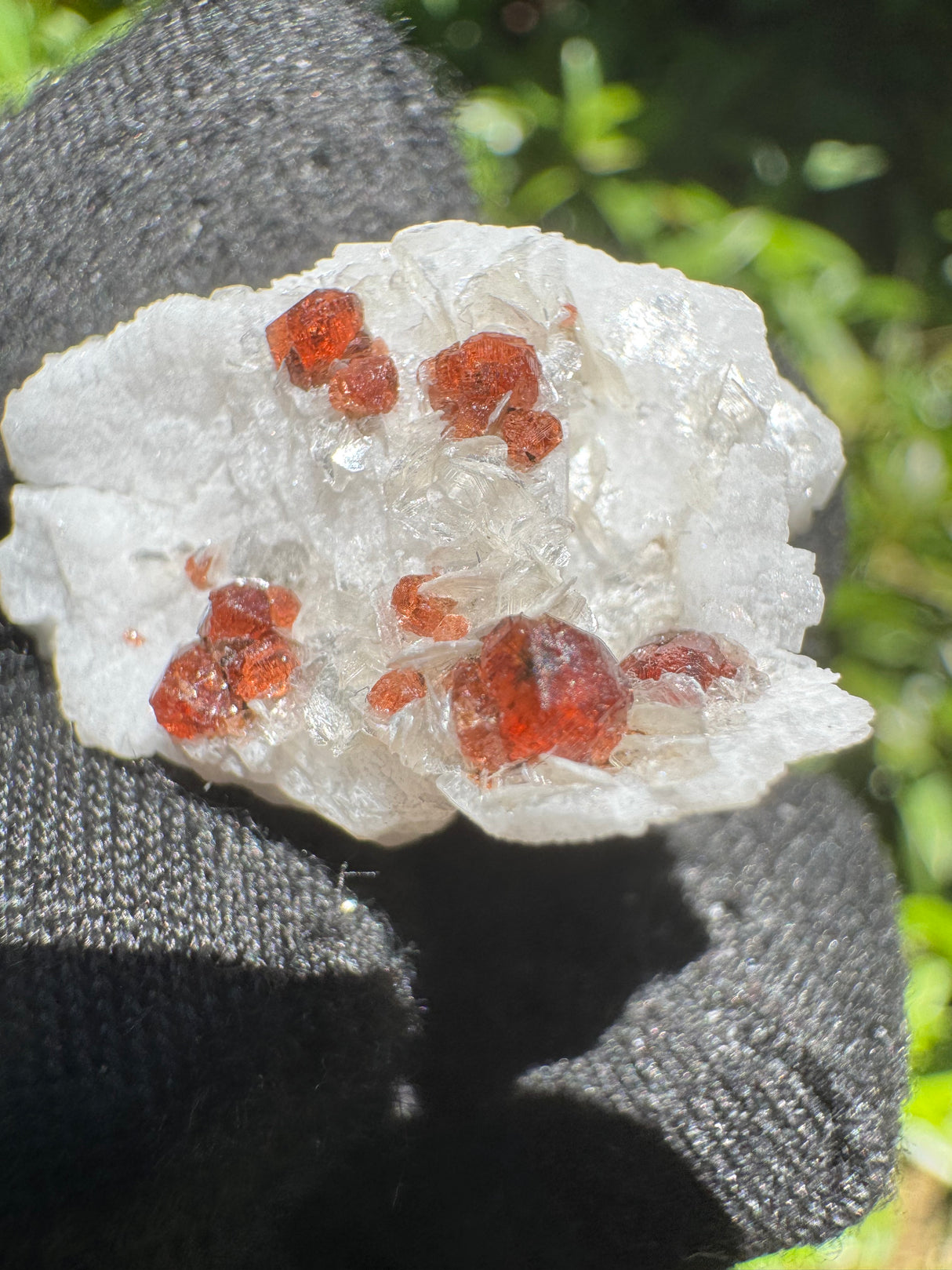 Garnet on Star Mica Specimen - 9g