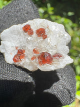 Garnet on Star Mica Specimen - 9g