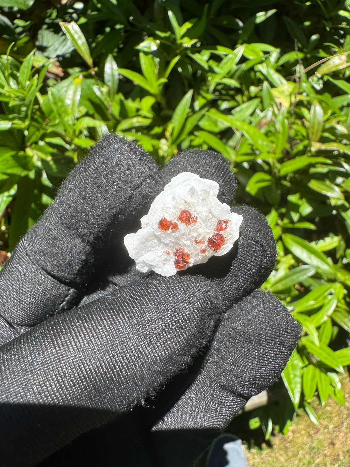 Garnet on Star Mica Specimen - 9g