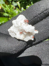 Garnet on Star Mica Specimen - 9g
