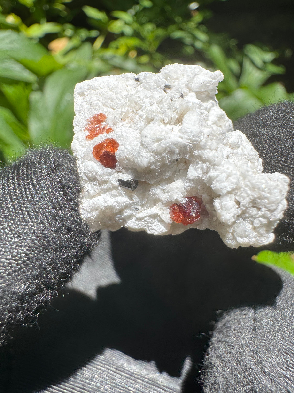 Garnet on Star Mica Specimen - 9g
