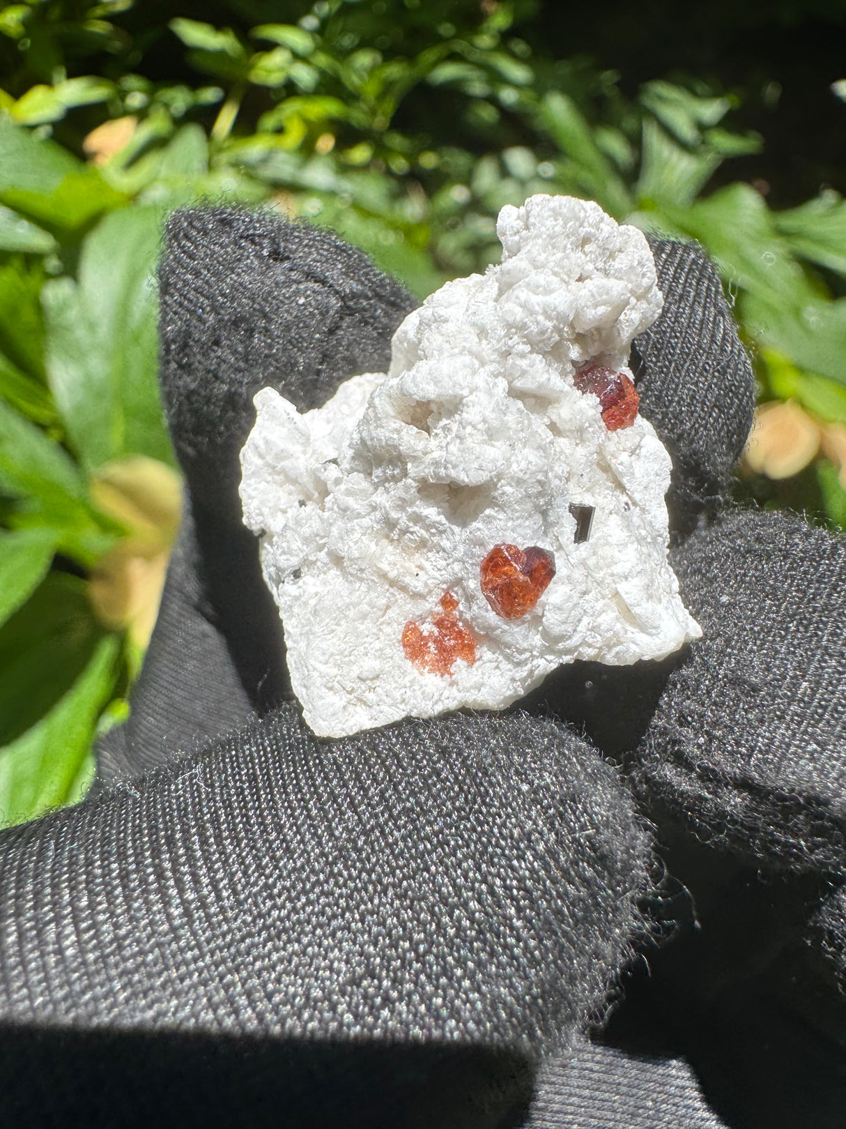 Garnet on Star Mica Specimen - 9g