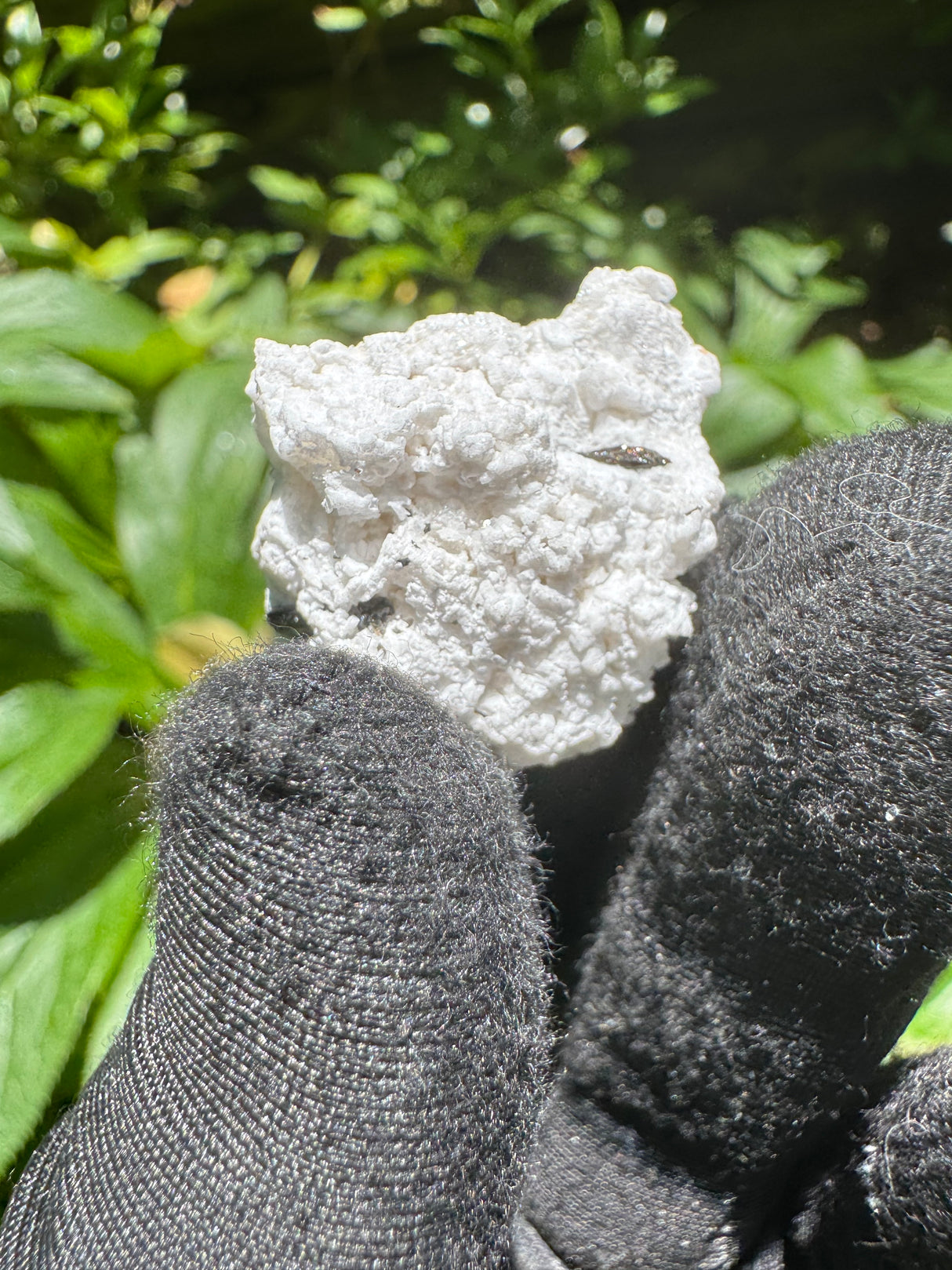 Garnet on Star Mica Specimen - 9g