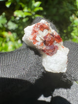 Garnet on Star Mica Specimen - 9g