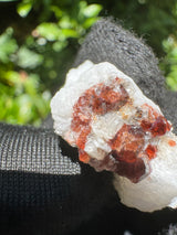 Garnet on Star Mica Specimen - 9g