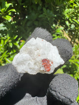 Garnet on Star Mica Specimen - 7g