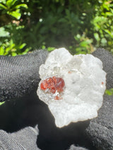 Garnet on Star Mica Specimen - 7g
