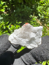 Garnet on Star Mica Specimen - 7g