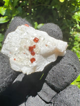 Garnet on Star Mica Specimen - 11g