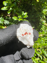 Garnet on Star Mica Specimen - 11g