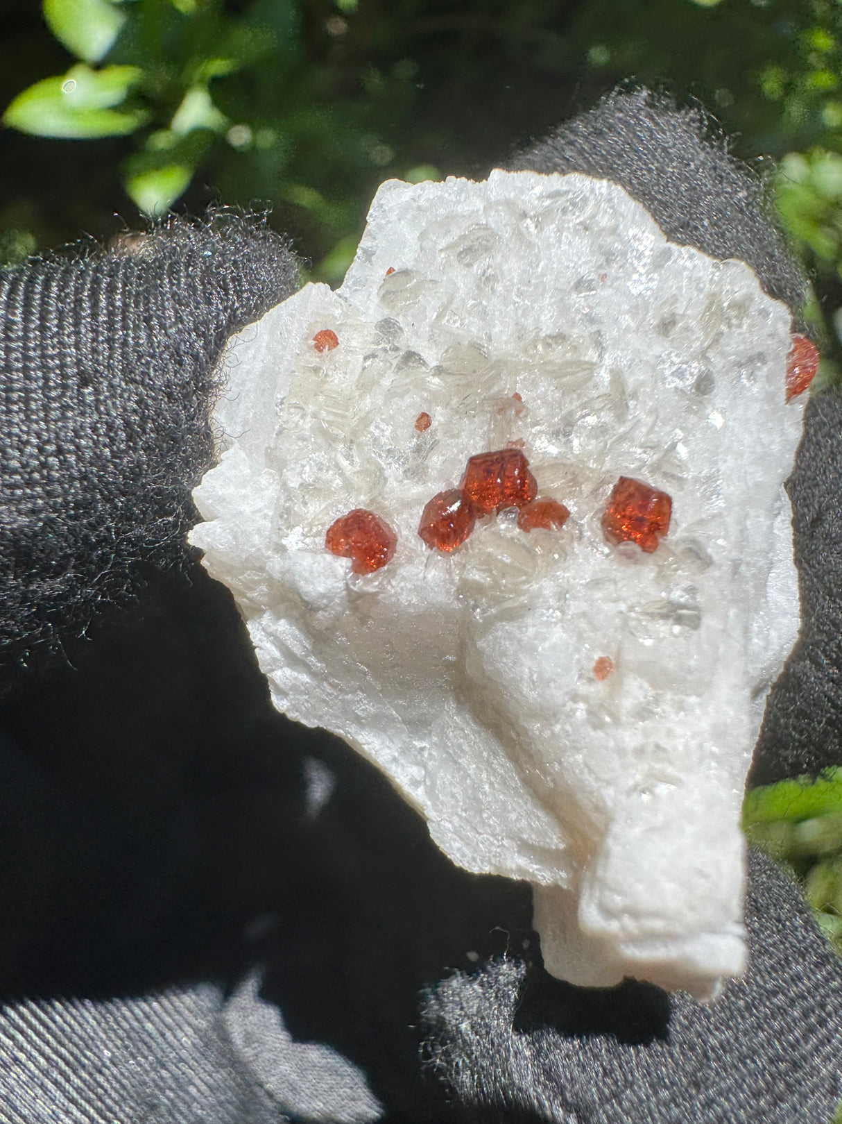 Garnet on Star Mica Specimen - 11g