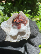 Garnet on Star Mica Specimen - 11g