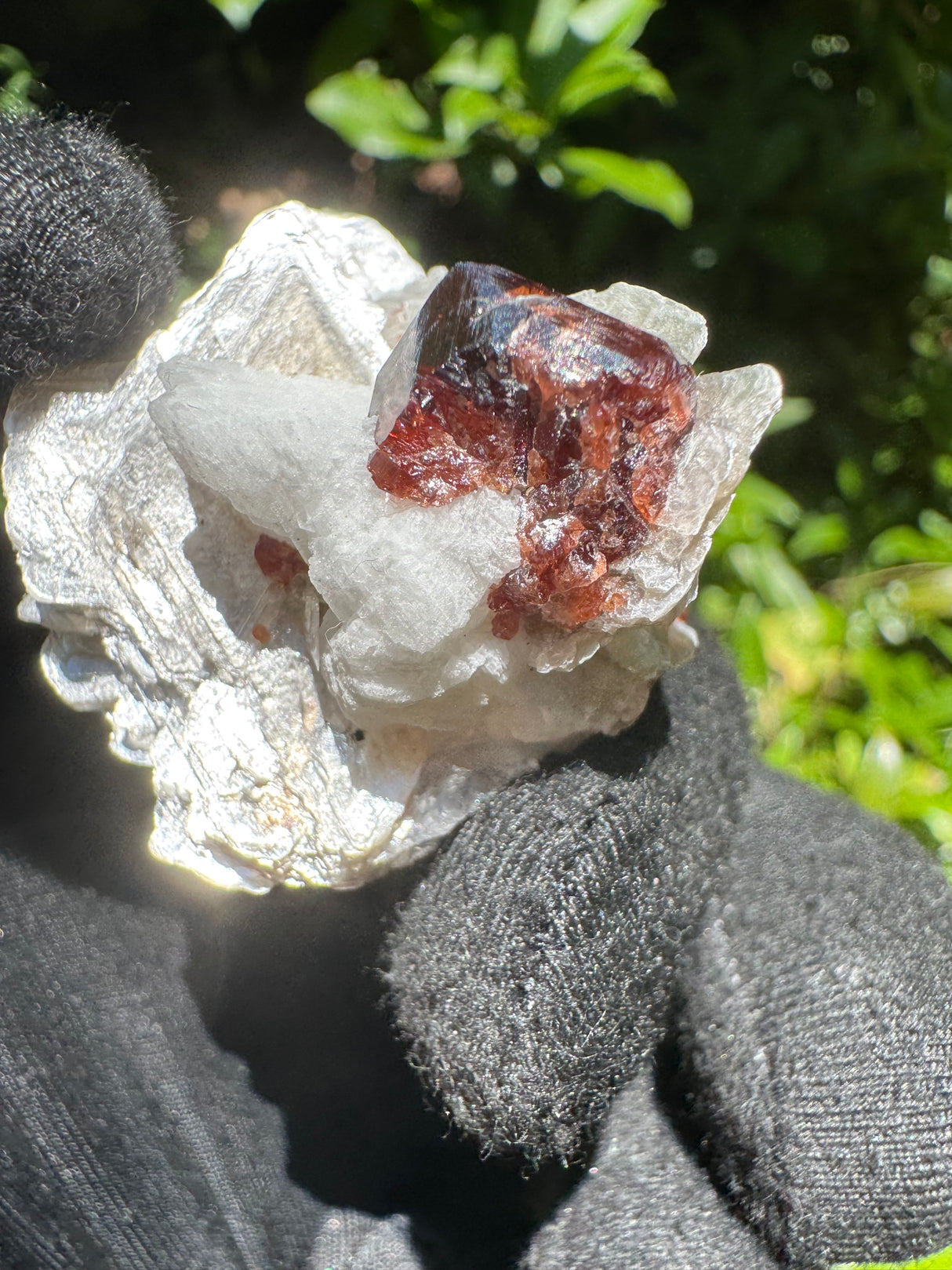 Garnet on Star Mica Specimen - 11g