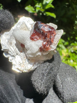 Garnet on Star Mica Specimen - 11g