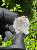 Garnet on Star Mica Specimen - 11g