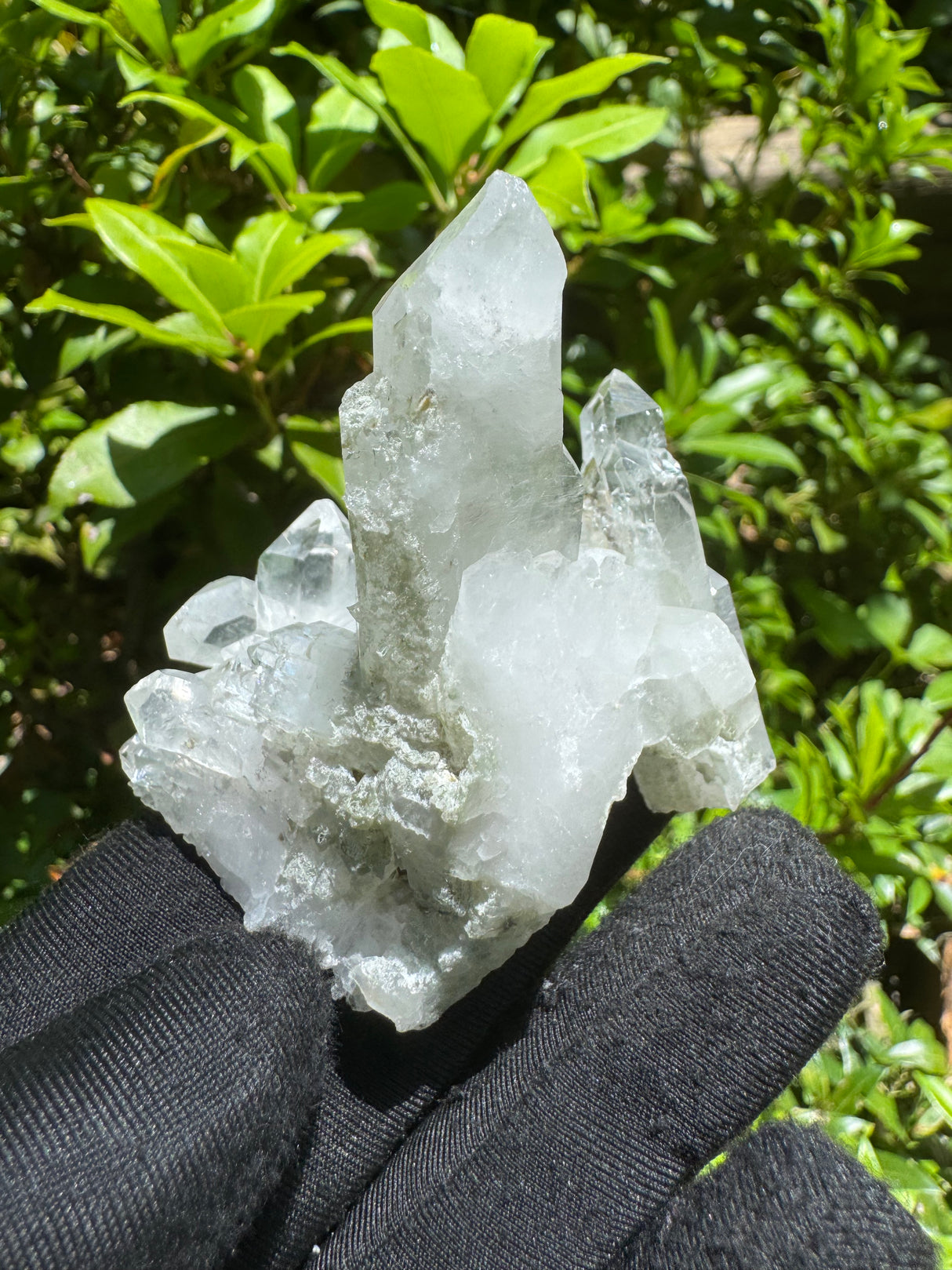 Faden Quartz Specimen - 75g