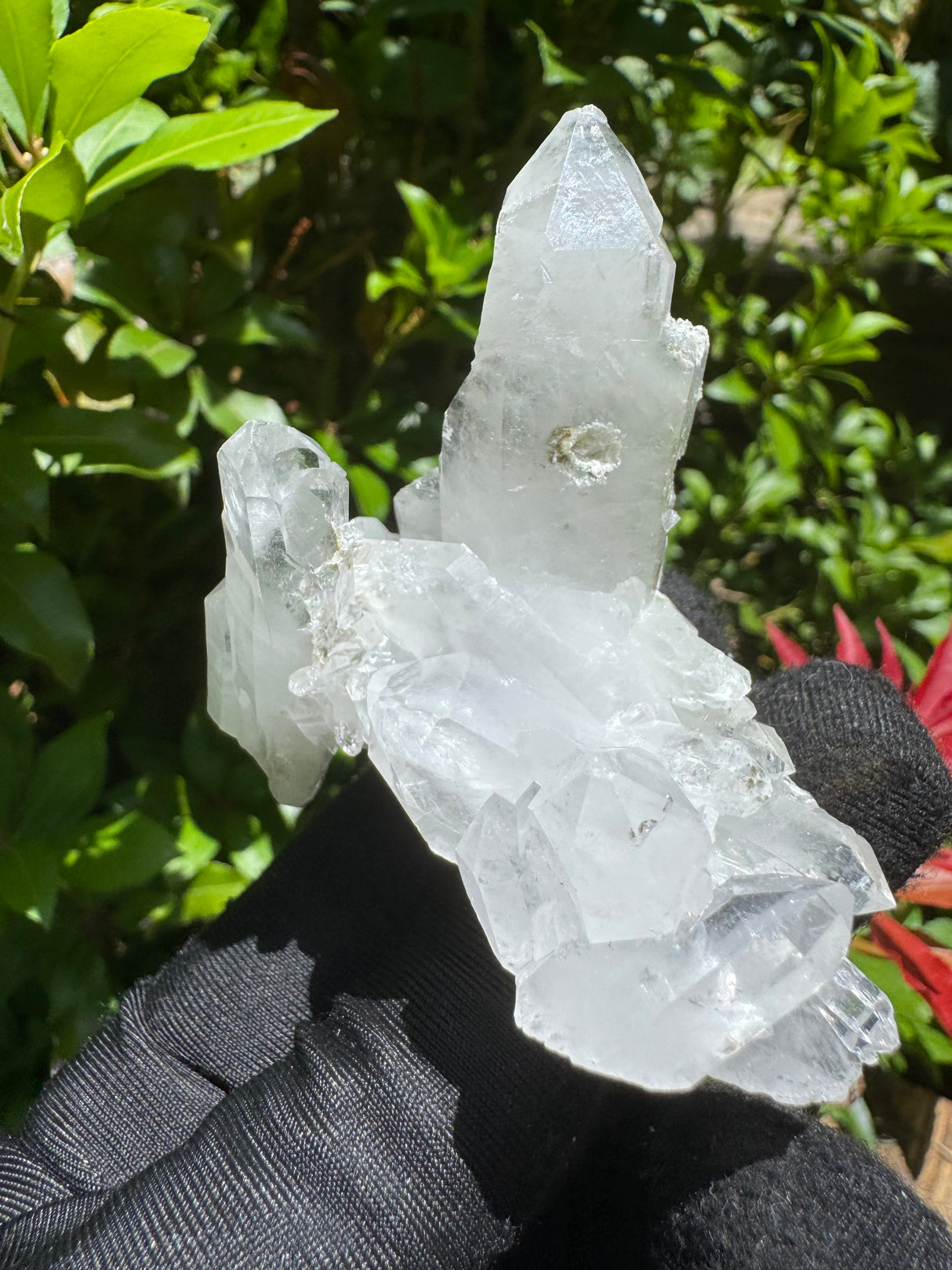 Faden Quartz Specimen - 75g