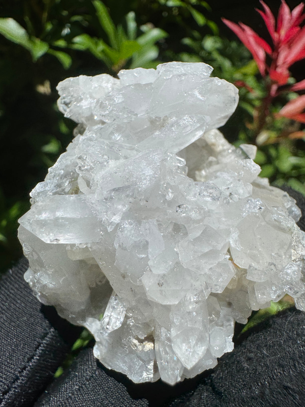 Faden Quartz Specimen - 77g