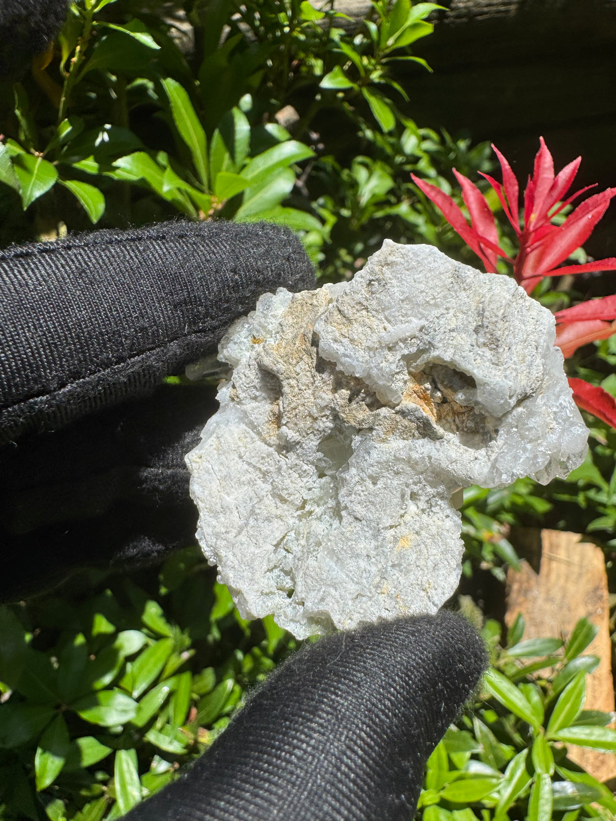 Faden Quartz Specimen - 77g