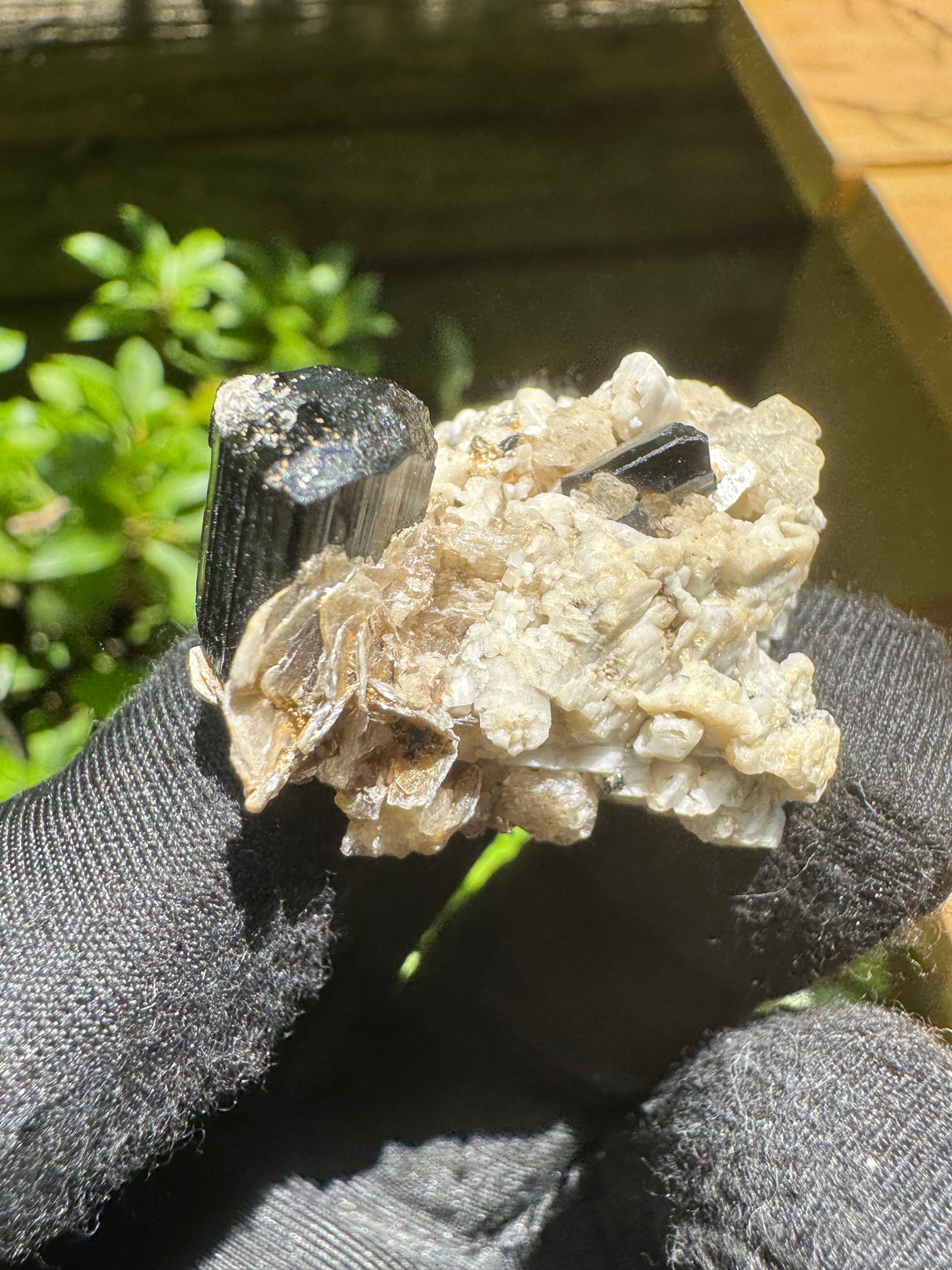 Black Tourmaline Specimen - 15g