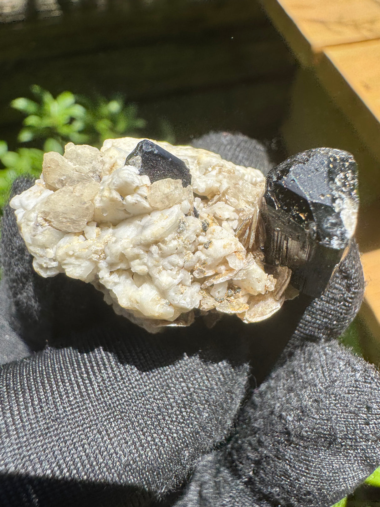Black Tourmaline Specimen - 15g