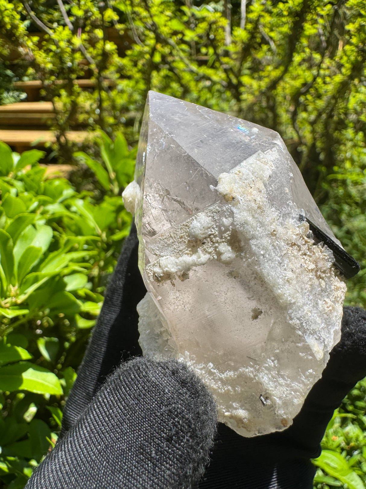 Tourmaline on Quartz Specimen - 146g