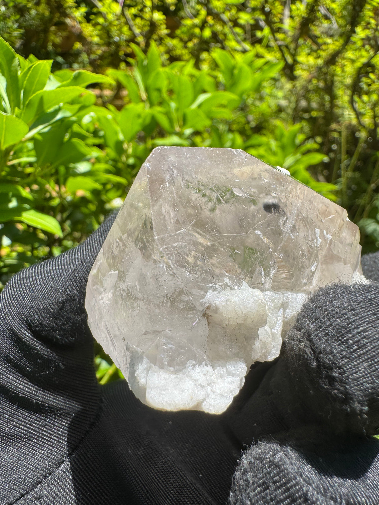 Tourmaline on Quartz Specimen - 146g