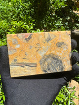 Bumblebee Agate Slab - 220g