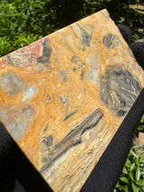Bumblebee Agate Slab - 220g