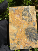 Bumblebee Agate Slab - 220g