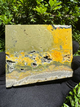 Bumblebee Agate Slab - 216g