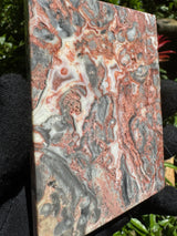 Crazy Lace Agate Slab - 169g