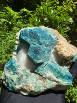 Sodalite Specimen - 4.8lb