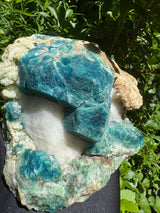 Sodalite Specimen - 4.8lb