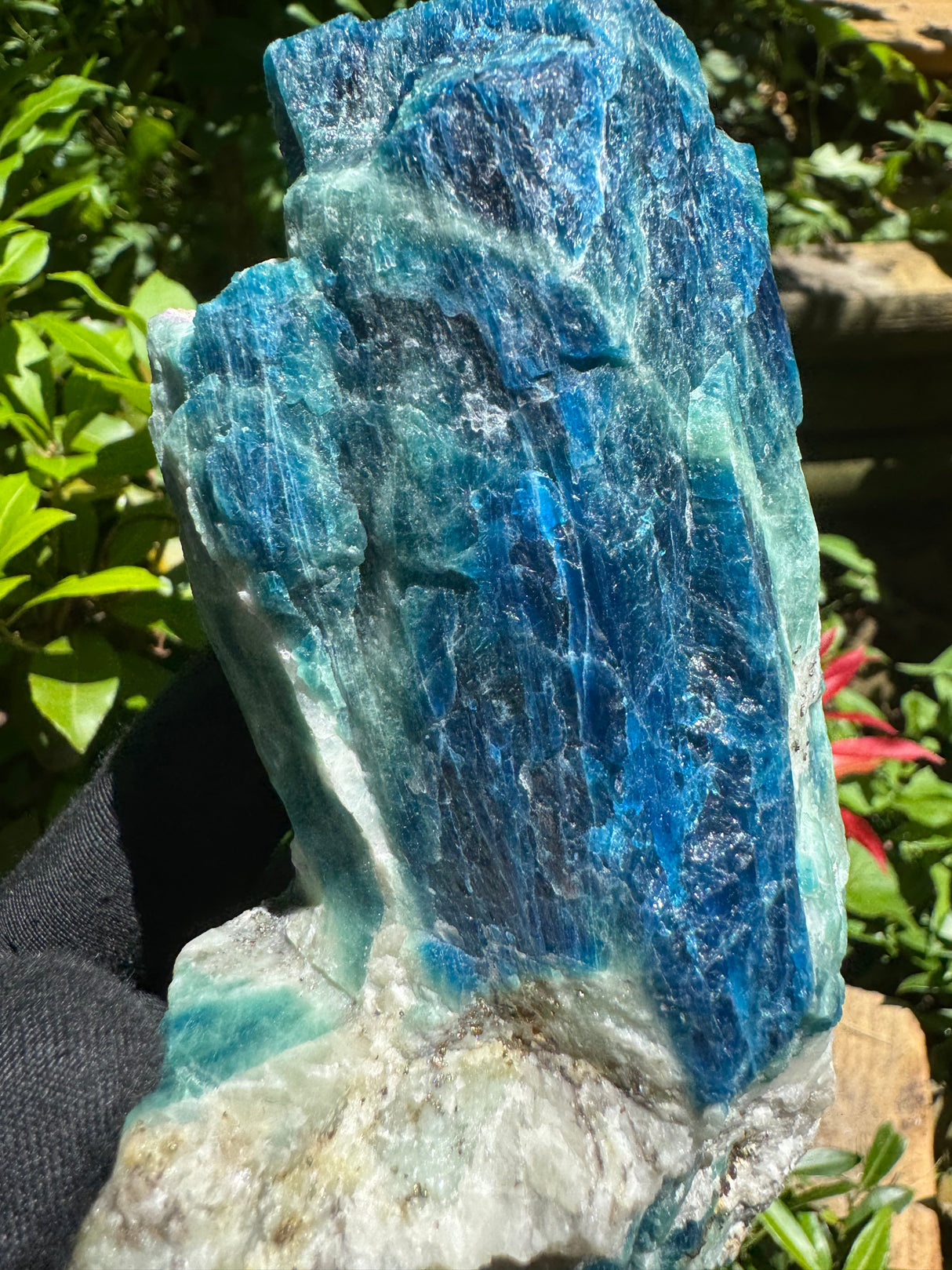 Sodalite Specimen - 1.46lb