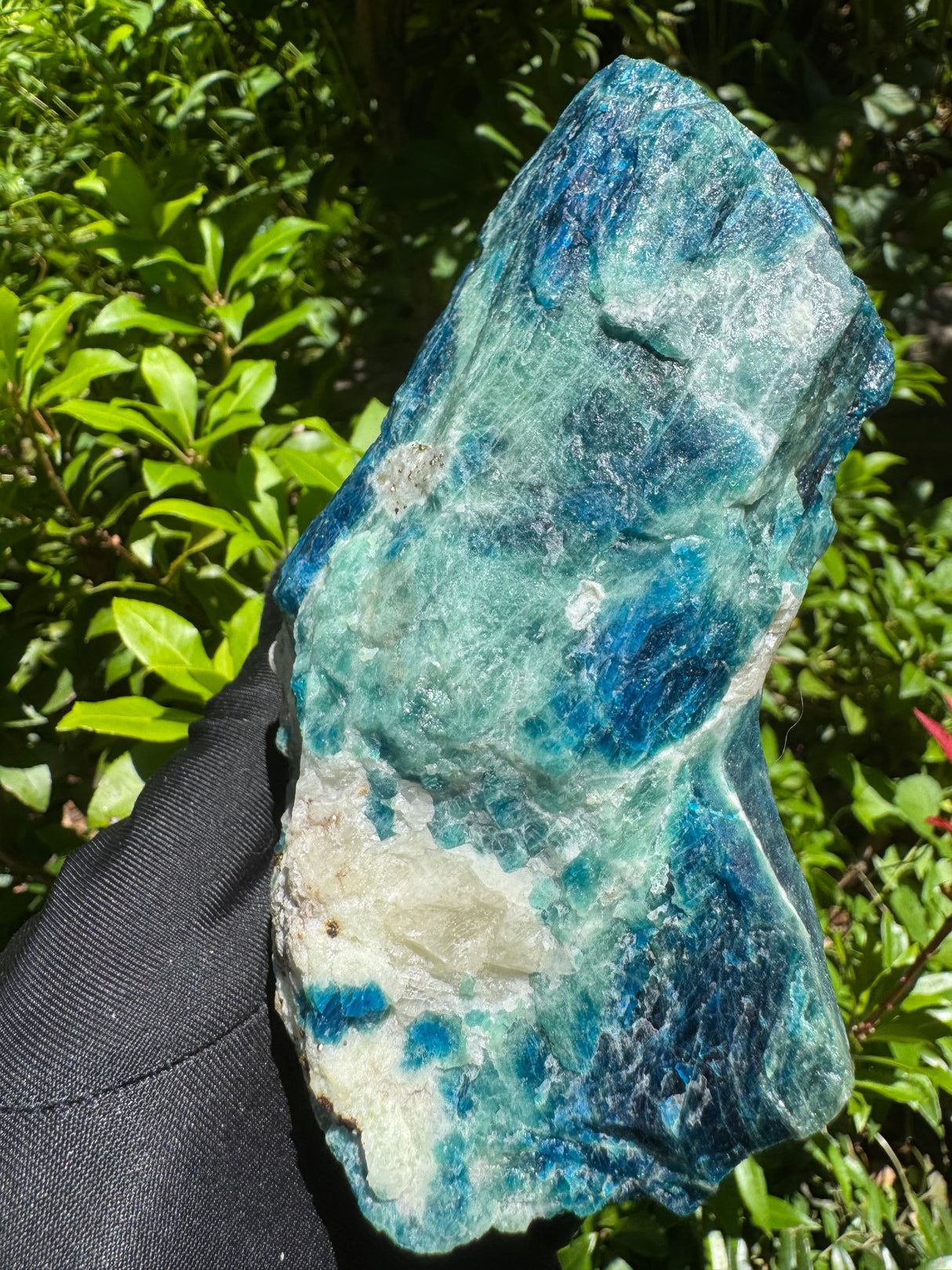 Sodalite Specimen - 1.46lb
