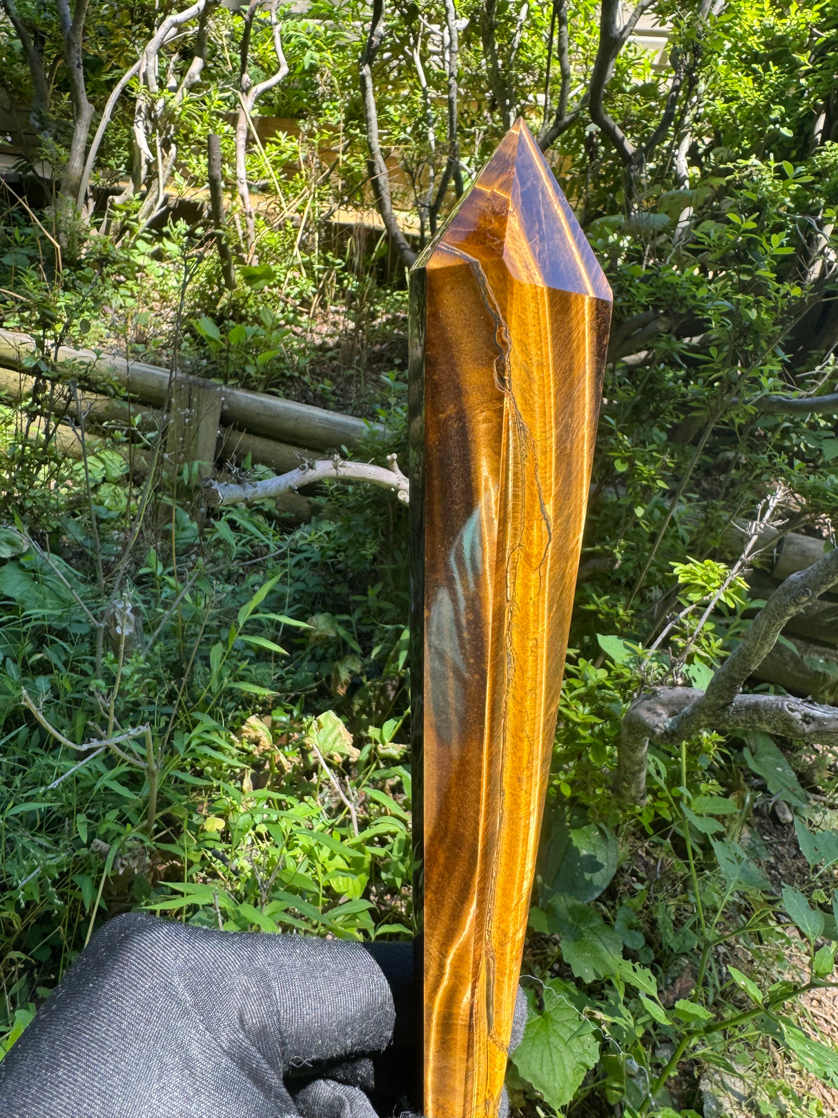 Tigers Eye Polished Wand - 406g