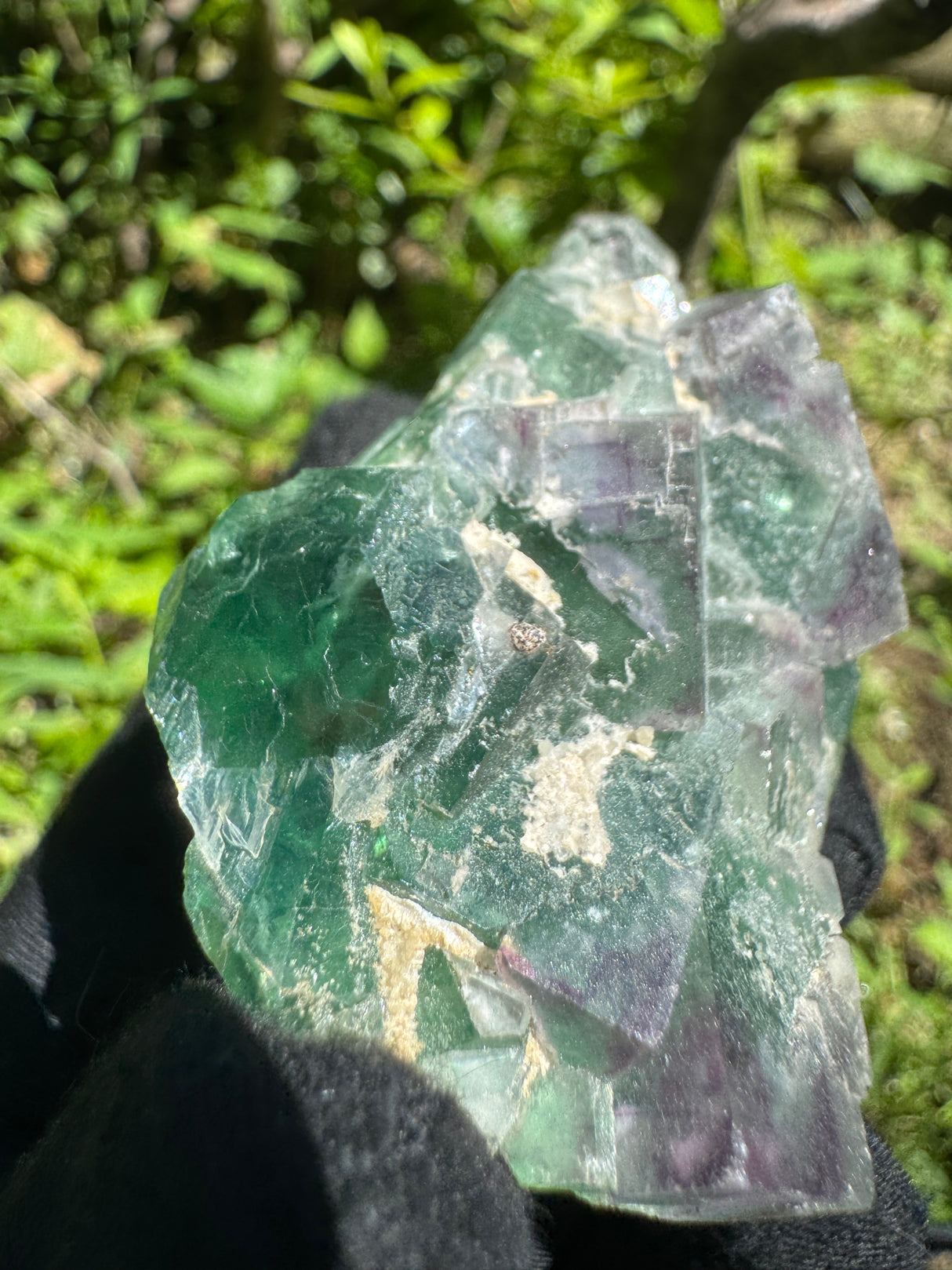 Fluorite Specimen - 154g