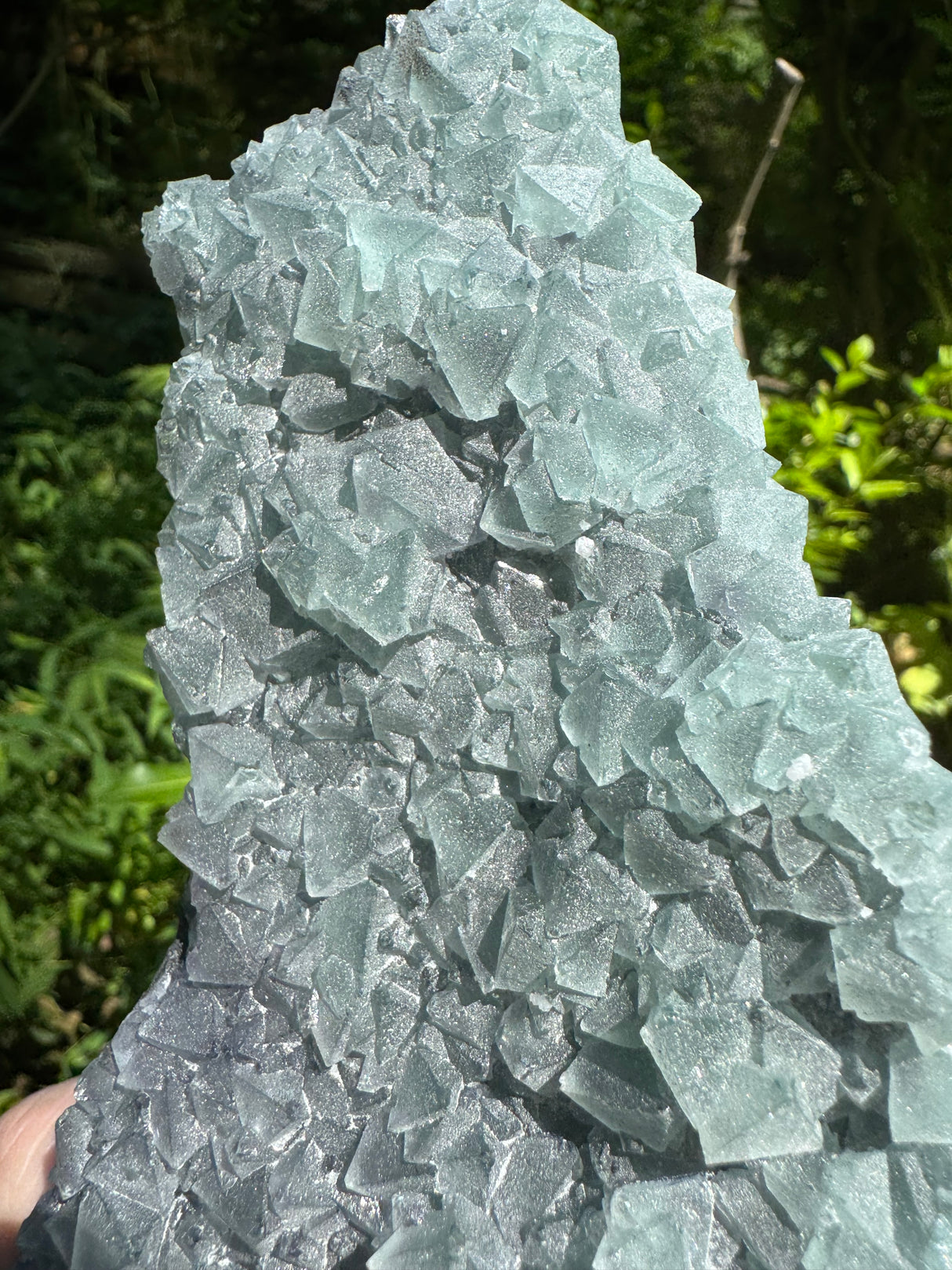 Fluorite Specimen - 1629g