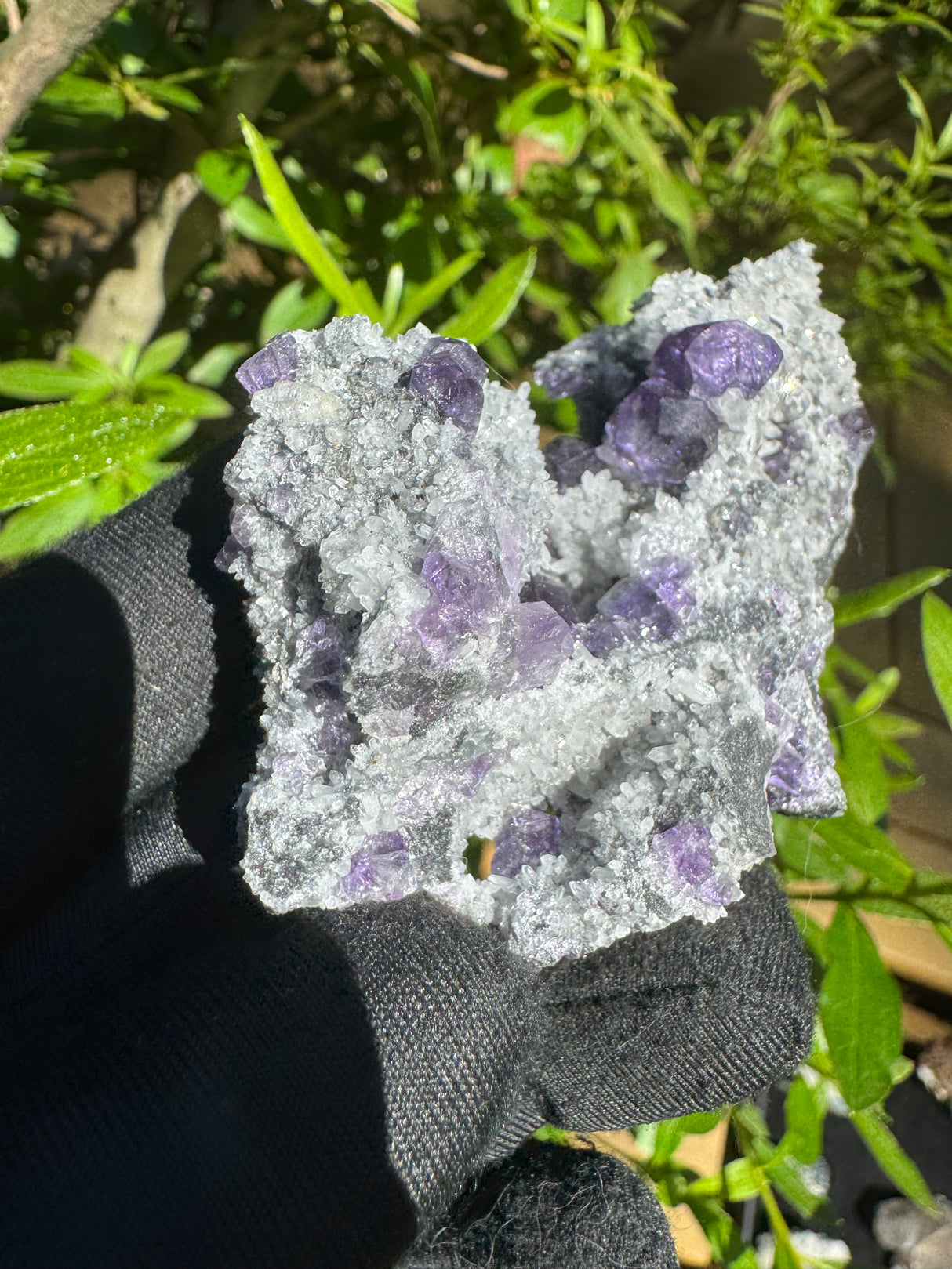 Tanzanite Fluorite Specimen - 68g