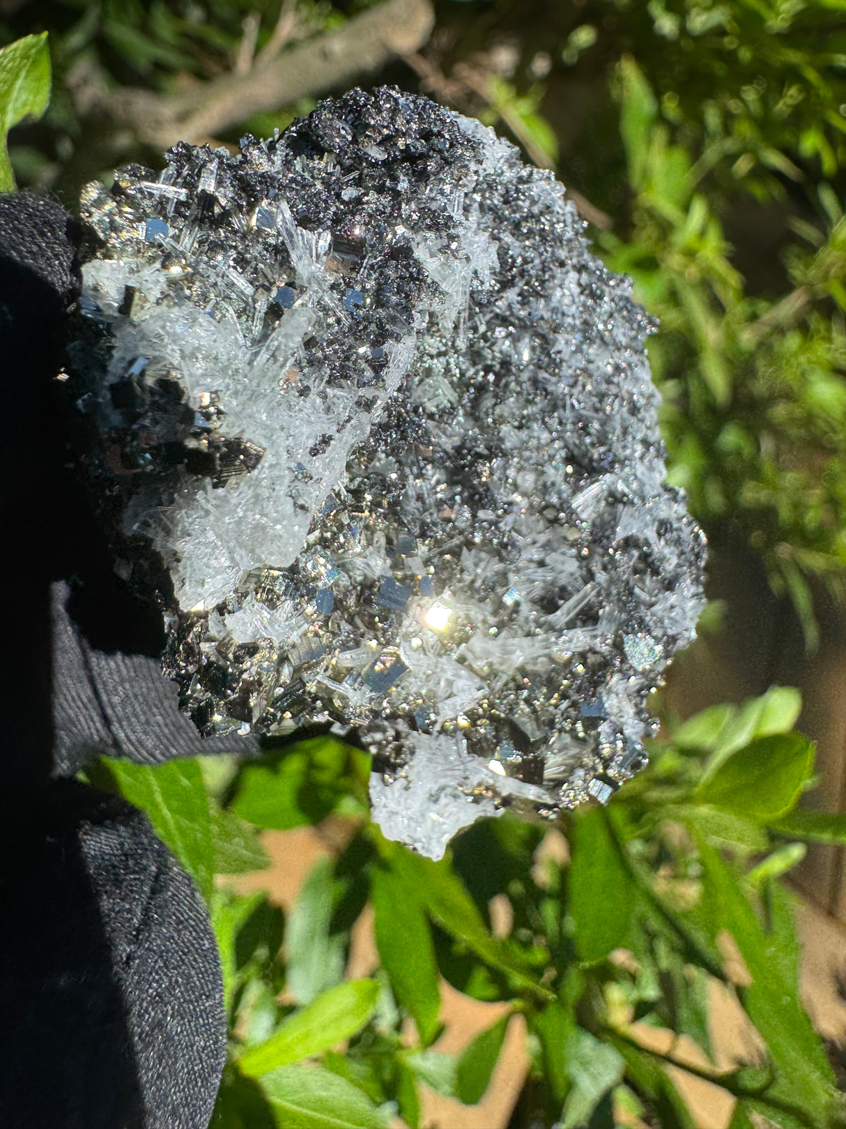 Pyrite Specimen - 48g