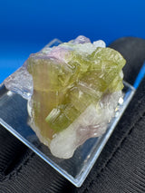 Watermelon Tourmaline Specimen - 18g