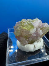 Watermelon Tourmaline Specimen - 11g