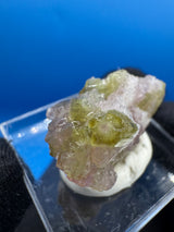 Watermelon Tourmaline Specimen - 11g