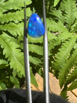 Opal Dublet Ready For Jewelry