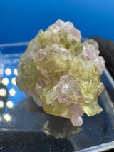 Watermelon Tourmaline Specimen - 9g