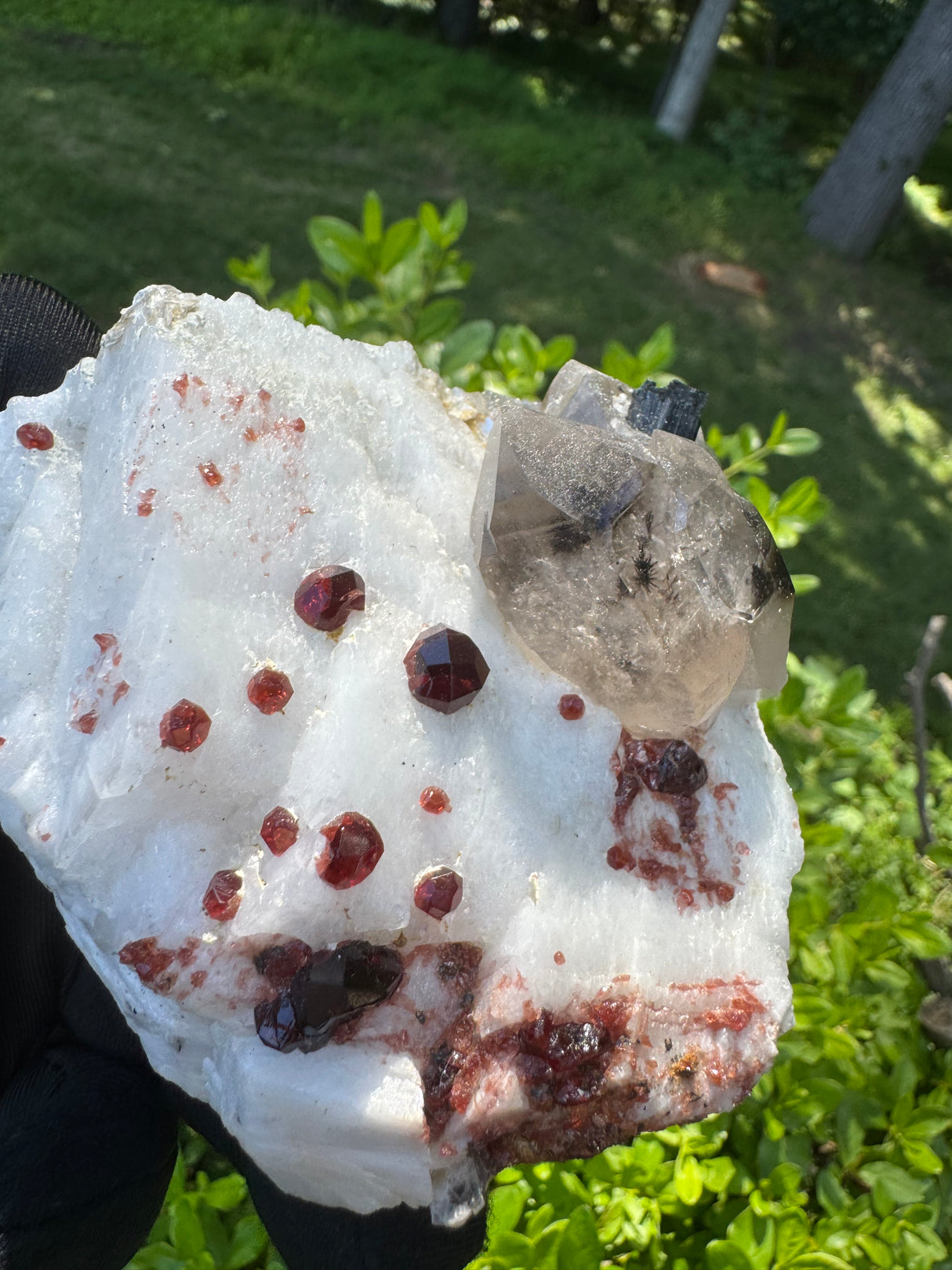 Garnet on Star Mica Specimen - 448g
