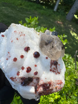 Garnet on Star Mica Specimen - 448g