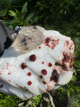 Garnet on Star Mica Specimen - 448g