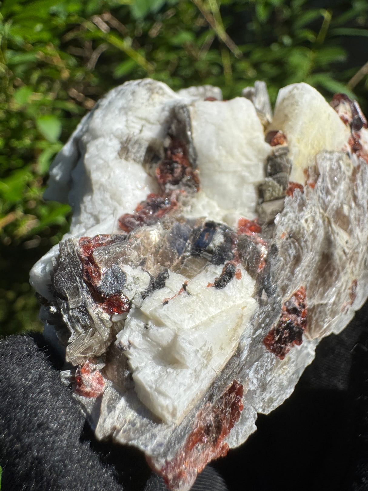 Garnet on Star Mica Specimen - 253g